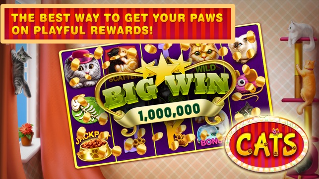 Cats Free Slots Casino Machines Jackpot(圖4)-速報App