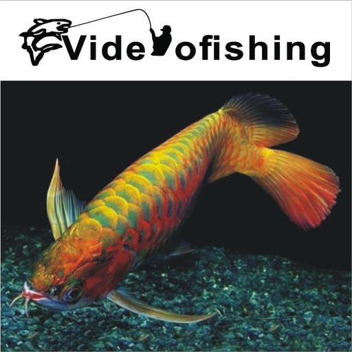 VIDEO FISHING icon