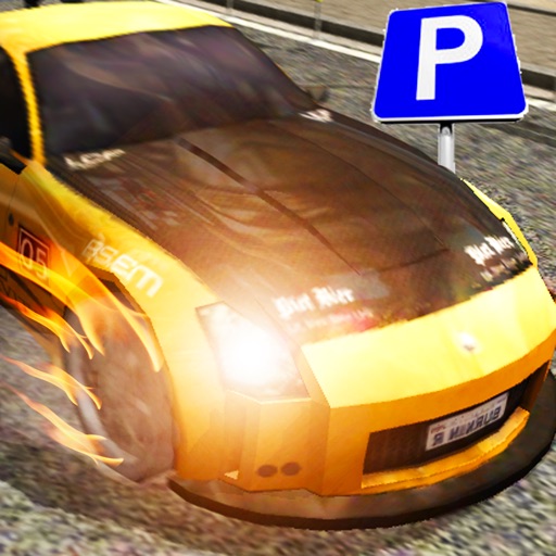 Park My Ride Driving Simulator Icon