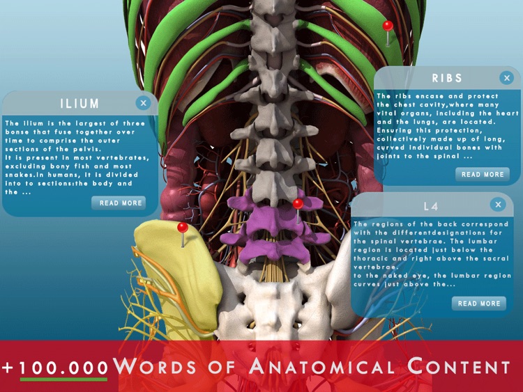 Anatomy and Physiology 3D : Anatomical Model of the Human Body screenshot-3