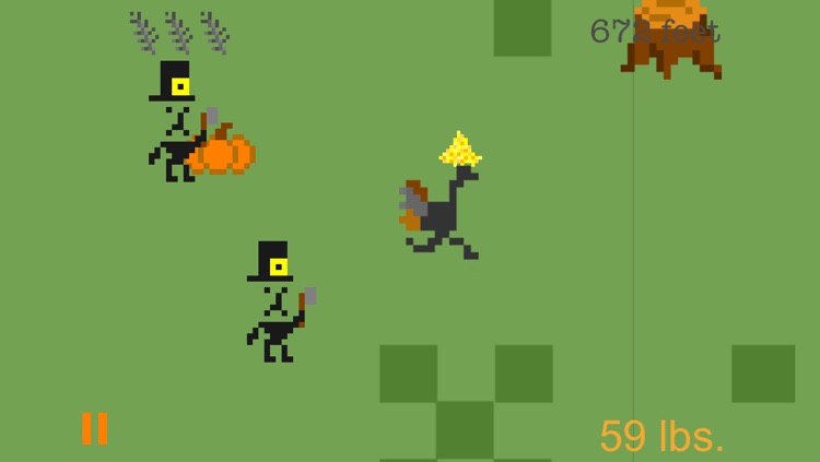 Turkey Chase - A Thanksgiving Fun Run