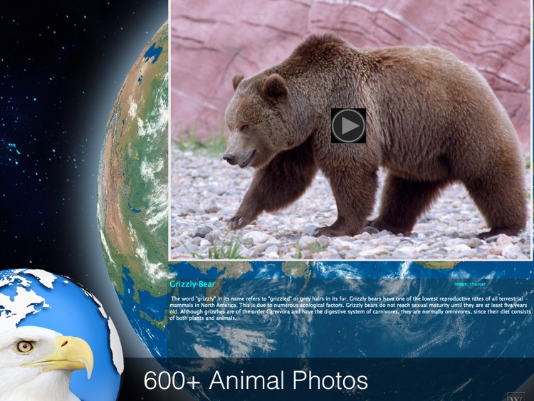 World Explorer - Animal Kingdom screenshot-3