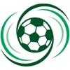 华人足球联盟
