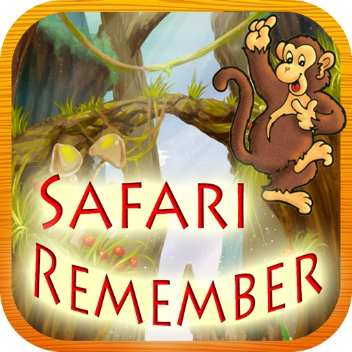 Safari Remember iOS App