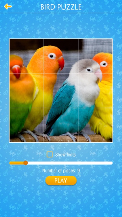 Bird Jigsaw Puzzle screenshot-4