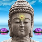 Spiritual Quotes - Wise Words And Buddha Sayings For A Better Life