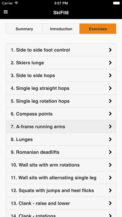 SkiFit8
