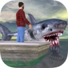 The Shark Simulator