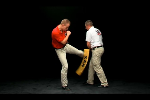 Krav Maga Lesson vol.4 - Defense on Kicks screenshot 3
