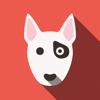 Dog Breed Quiz - Trivia For Guessing The Dog Game