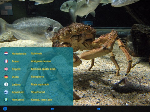Navigo Aquariums screenshot 3