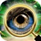 Lost In the Forest - Hidden Objects