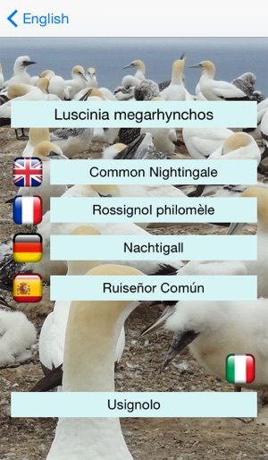 EuropaBirds - the names of 842 species in 6 languages(圖5)-速報App