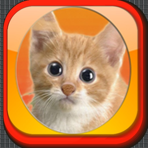 Sly Cat icon