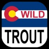Colorado Wild Trout