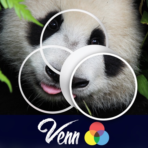 Venn Bears: Overlapping Jigsaw Puzzles iOS App