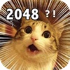 2048 Meme Cats:Logic games have a fun for free family kid games
