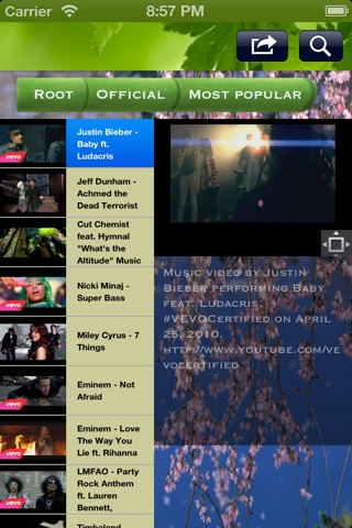 MusicWalls screenshot 4