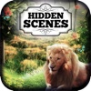 Hidden Scenes - Wilderness