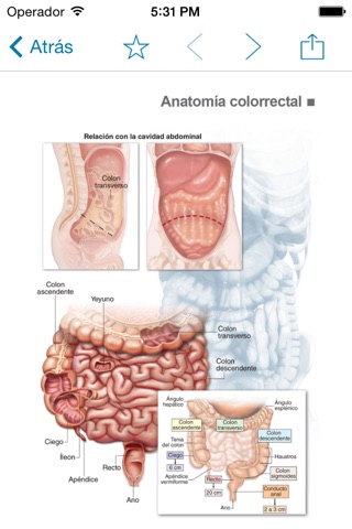 Miniatlas Colon Cancer screenshot 2