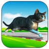 Cat Chase HD