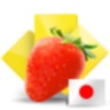 Fruits & Vegetables Cards (Japanese)