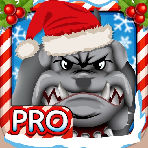 Adventure of Santa Claus Pro - Fun Christmas Games For Kids ( With Multiplayer Race ) icon