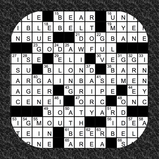 Crossword Puzzler Icon