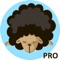 Sheep Bubble Shooter Pro