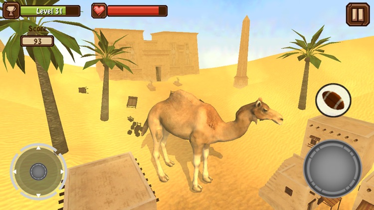 Camel Simulator Pro screenshot-3