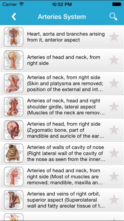 Human Anatomy Pro 2014 screenshot-3