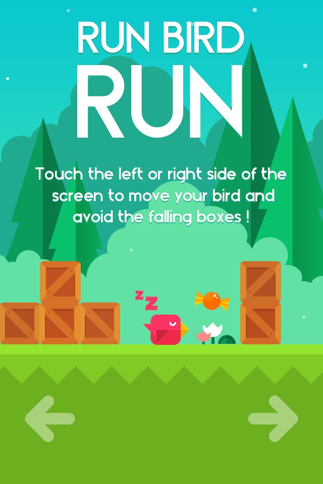 Run Bird Run screenshot 2