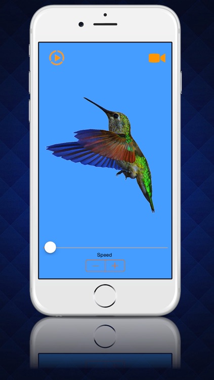 Play Videos in Slow Motion - Analyze your video recordings in slowmo