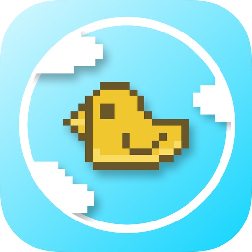 Berdie iOS App