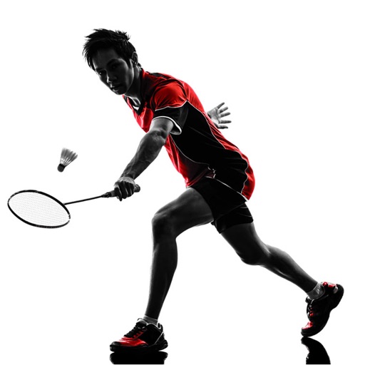 Play Badminton icon