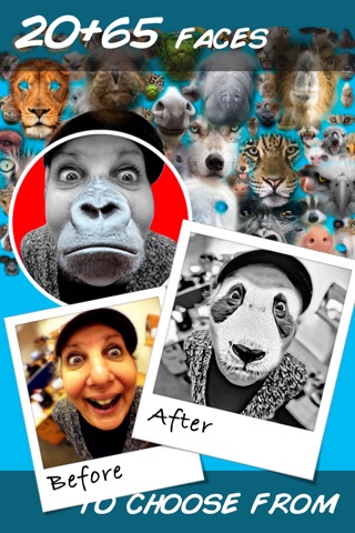 Animal Face Maker Pro - Crazy Photo Editor Booth screenshot 2