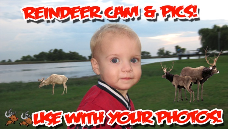 ReindeerCam - Watch Santa's Reindeer & More! screenshot-3