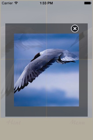 Birds and Sky Jigsaw Puzzle screenshot 3