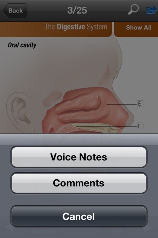 i Touch Anatomy screenshot 3