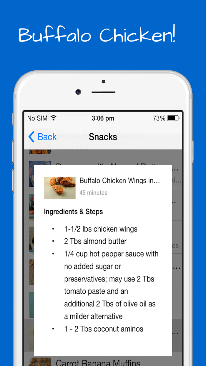 Paleo Snacks Recipes - Breakfast, Lunch and Appetizers with quick, easy and simple meals.