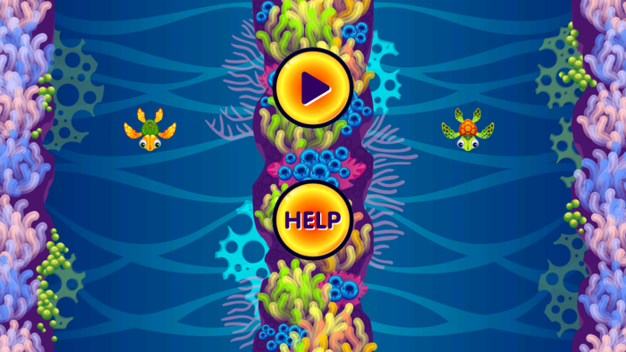 Turtle Jet Adventure