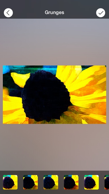 Portrait Painter+ screenshot-4