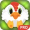 Chicken Bubble Shooter Pro