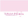 Tallulah Blooms