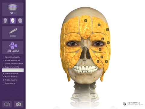 Interactive Anatomy - SA screenshot 3