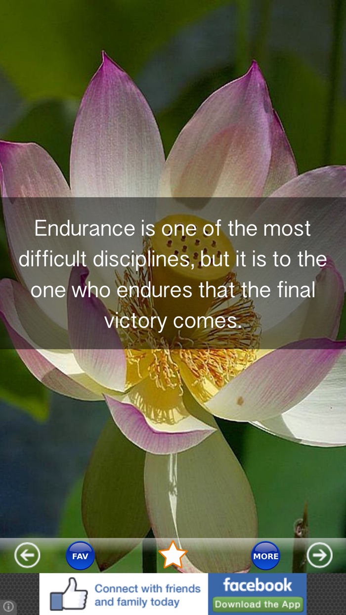 Buddha Quotes - Daily Buddhist Meditation   Words of Wisdom