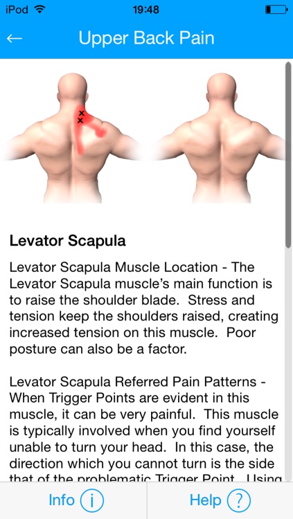 Muscle Trigger Points Massage Therapy screenshot-3