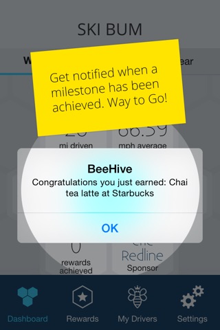Drive BeeHive screenshot 4