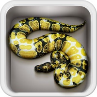 WOB Morphlist PC 용