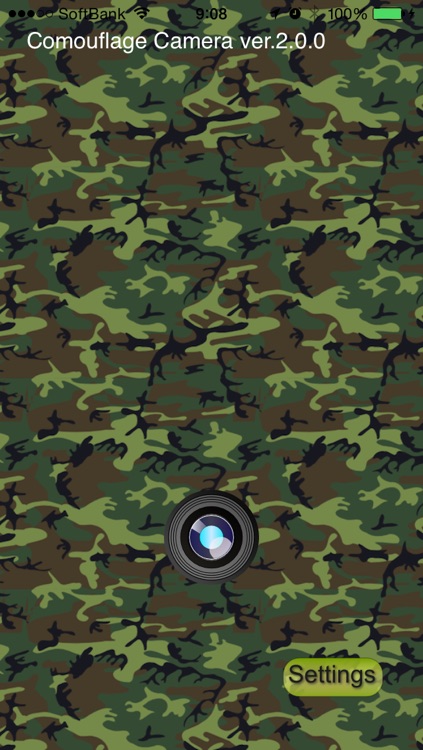 Camouflage Camera with Manner Mode